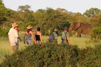 south africa safari and beach packages